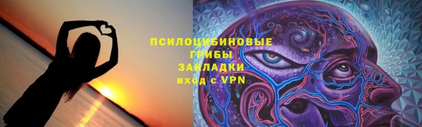 шишки Алексеевка