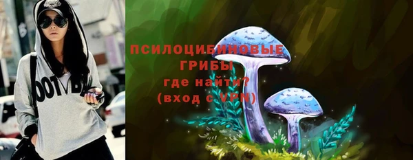 бутират Алексин