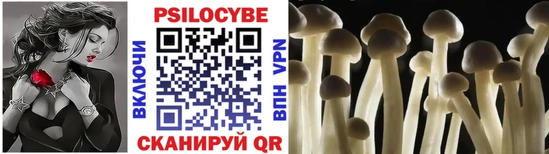 Псилоцибиновые грибы прущие грибы  Купить закладки  Удомля 