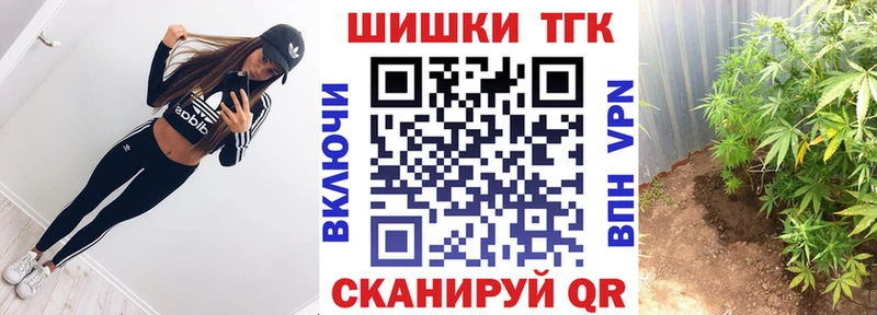 Бошки Шишки планчик Удомля